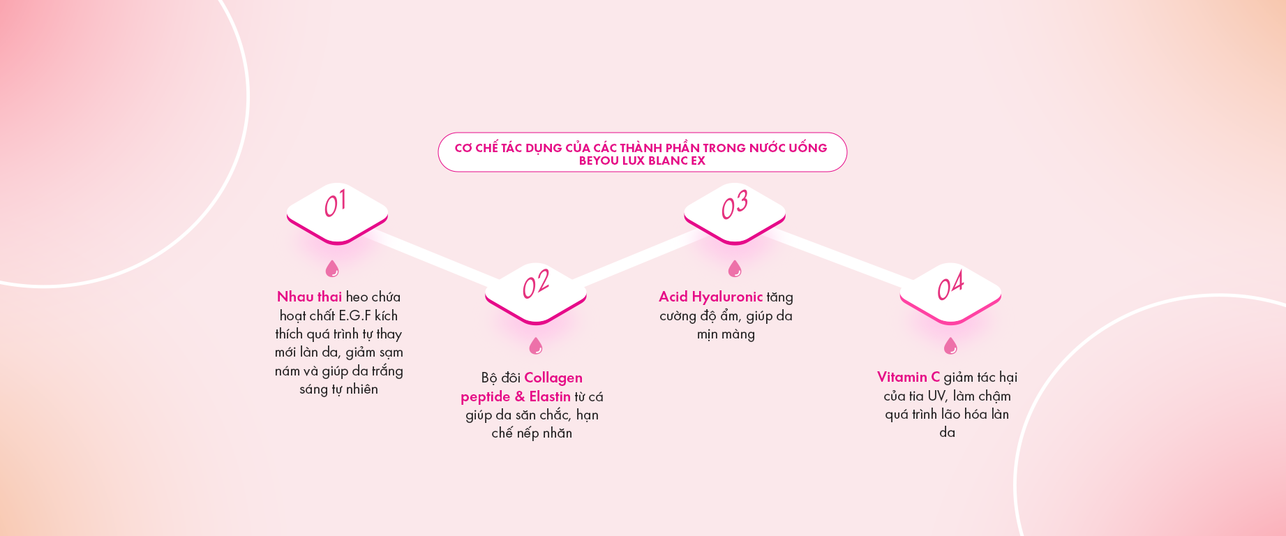 Hình 2_ cơ chế_1843x768 (1)